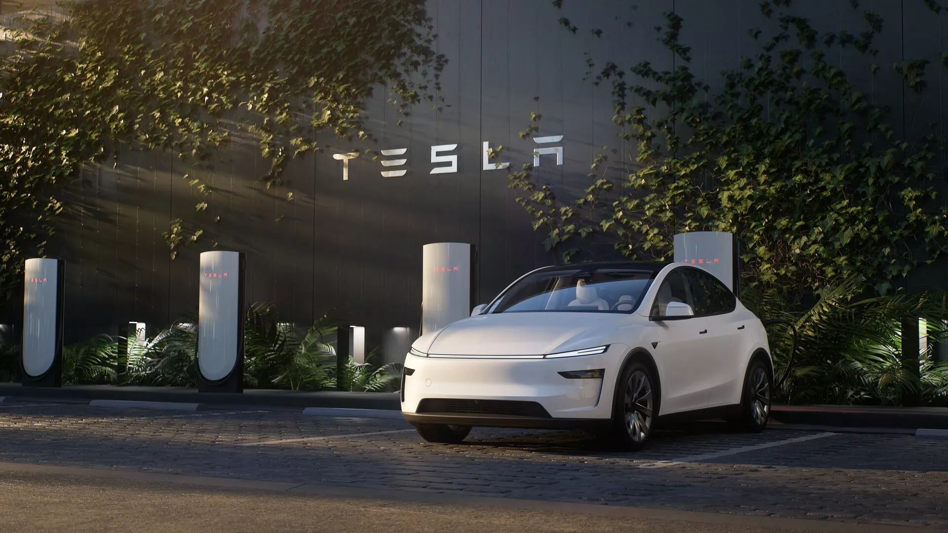 2025 Tesla Model Y 